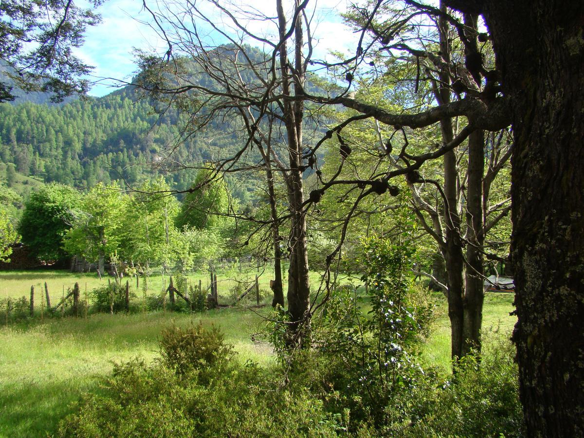 Lodge Punahue Choshuenco Exterior foto